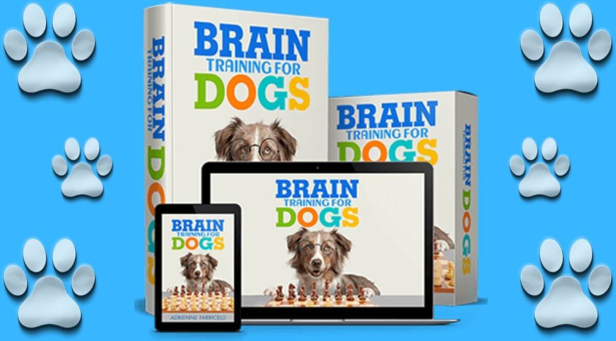 Brain Training For Dogs Review: A Smarter, Calmer, Happier Dog Without Harsh Training Methods in2026! 1 Brain Training For Dogs, Brain Training For Dogs Review
